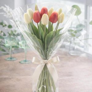 Tulip Treat