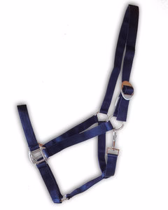 Nylon halster